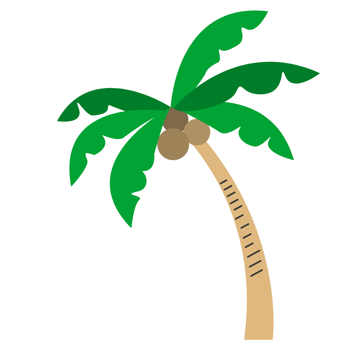 palmier summer camp 1 - lestislecteurs.com